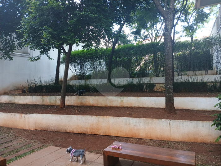 Foto REO1074940