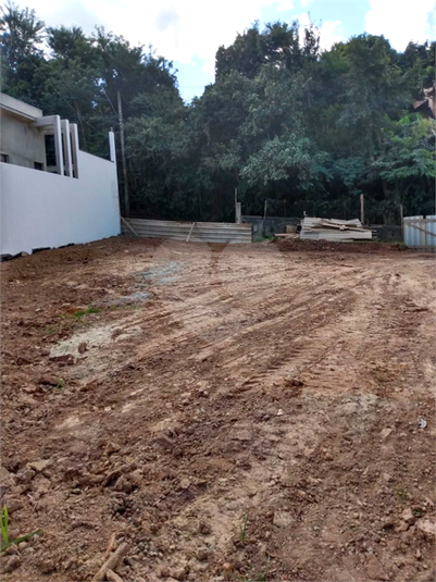Foto REO1074951