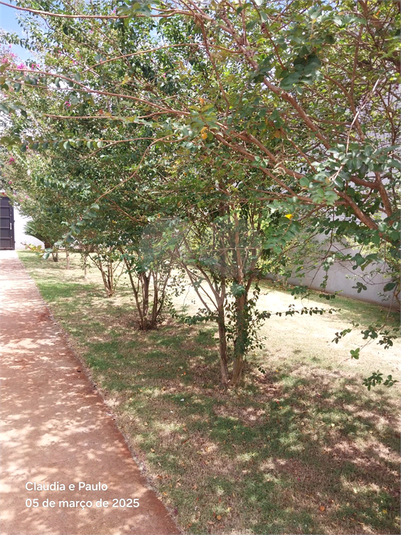 Foto REO1074953