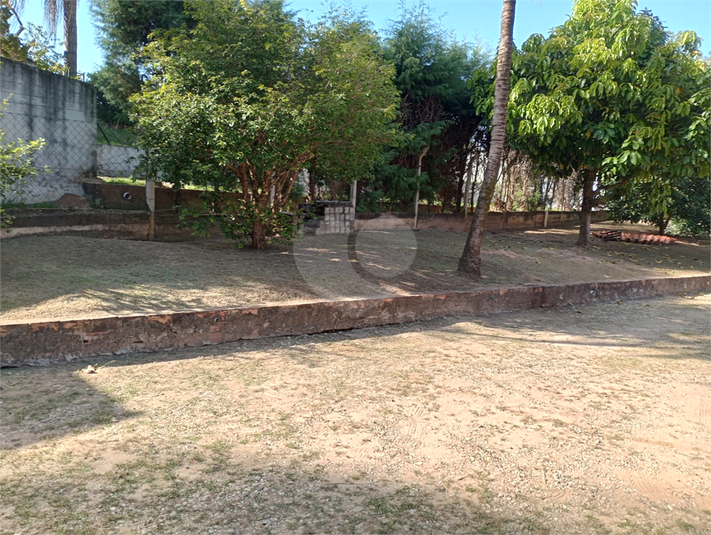 Foto REO1074973