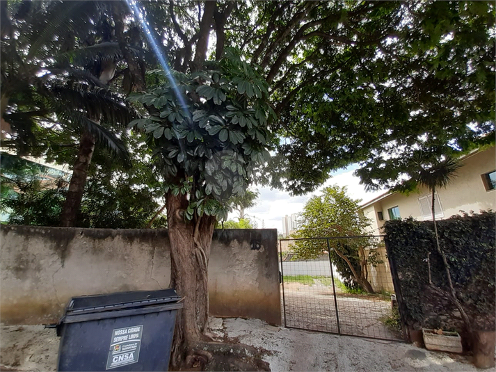 Foto REO1074983