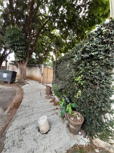 Foto REO1074983
