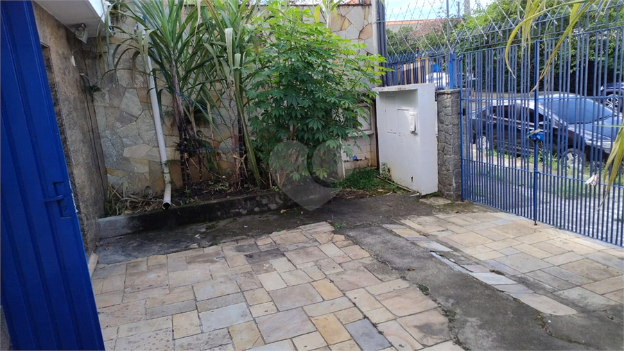 Foto REO1075025