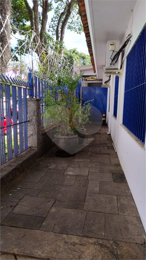 Foto REO1075025
