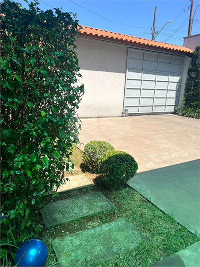 Foto REO1075029