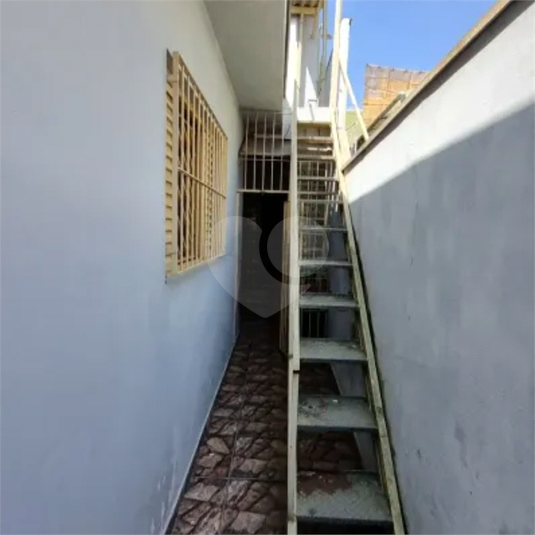 Foto REO1075048