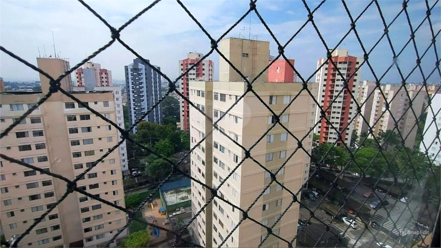 Foto REO1075059