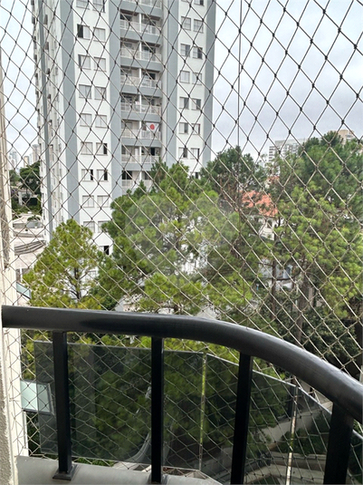Foto REO1075067