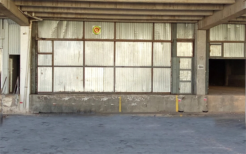 Foto REO1075069
