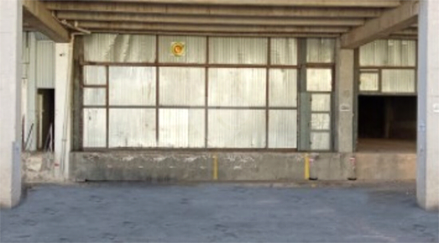 Foto REO1075069