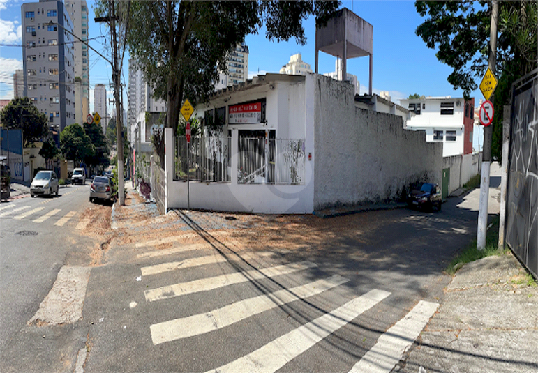 Foto REO1075086