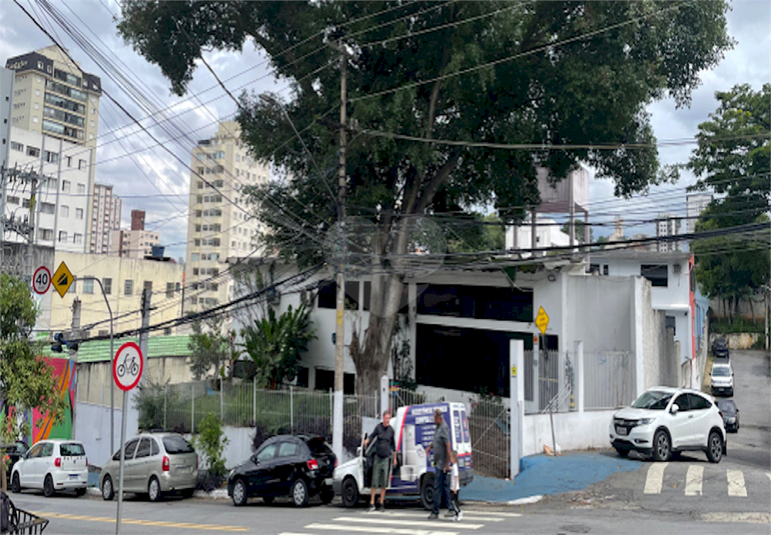 Foto REO1075086