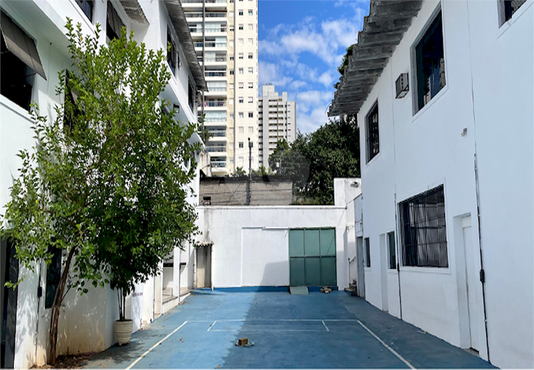Foto REO1075086