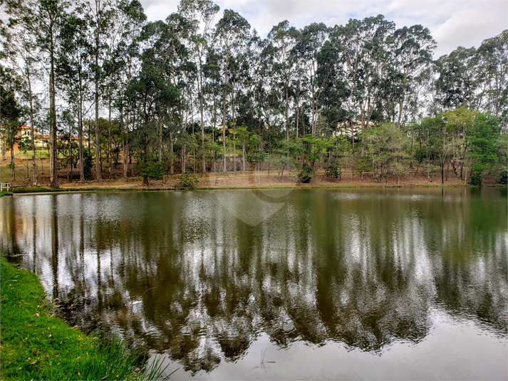Foto REO1075091