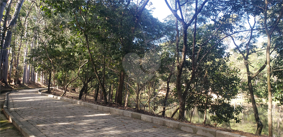Foto REO1075091