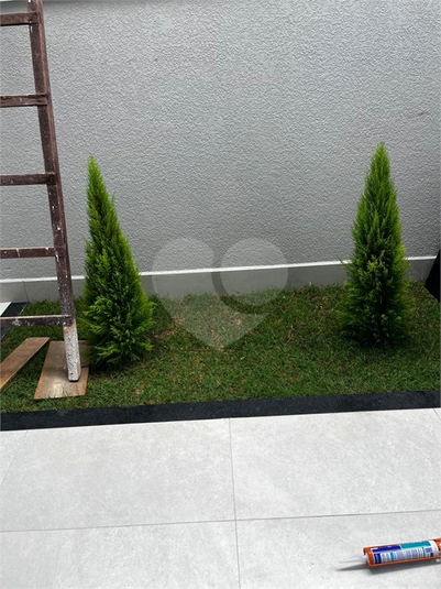 Foto REO1075105