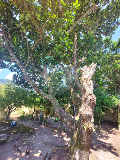Foto REO1075107