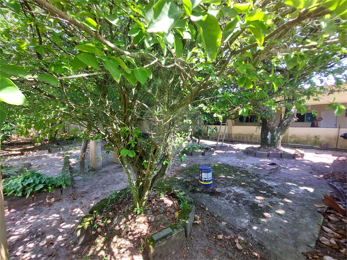 Foto REO1075107