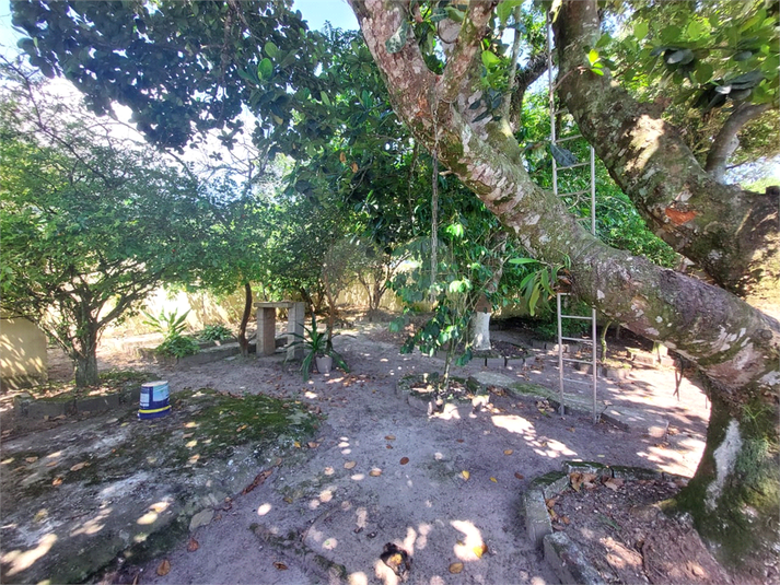 Foto REO1075107