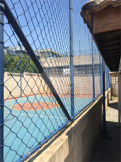 Foto REO1075119