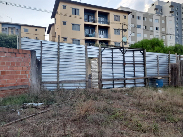 Foto REO1075130