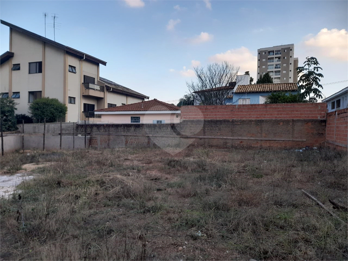 Foto REO1075130