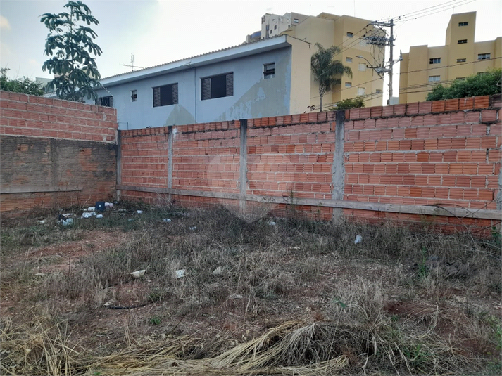 Foto REO1075130