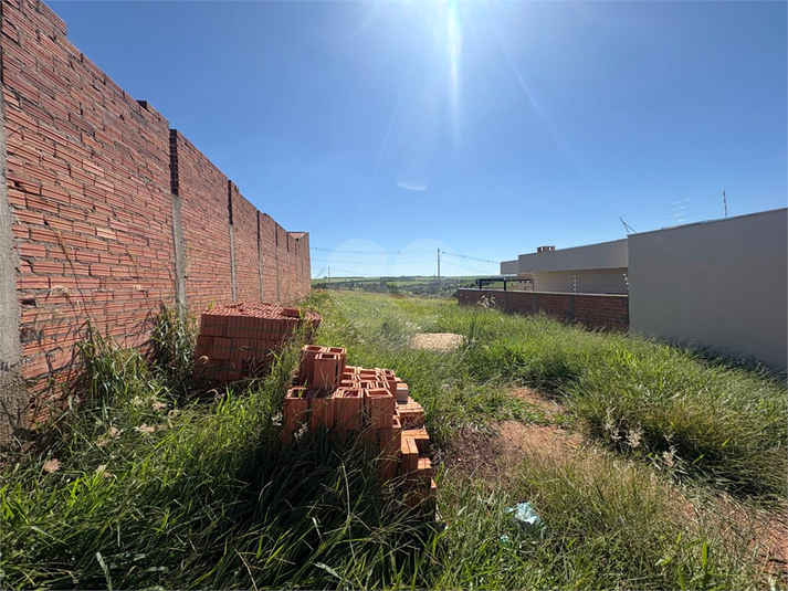 Foto REO1075142