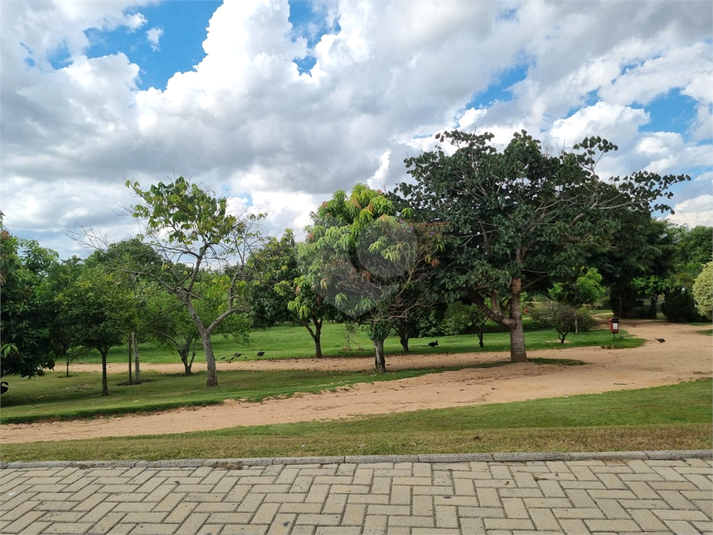 Foto REO1075150