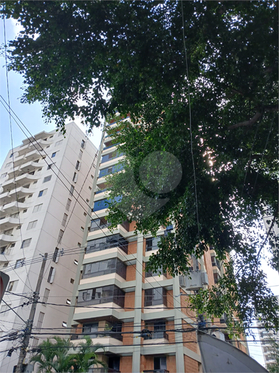 Foto REO1075151