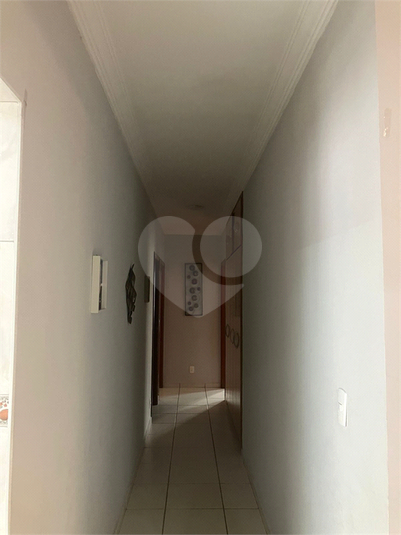 Foto REO1075194
