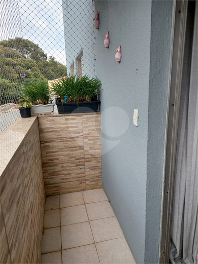 Foto REO1075204