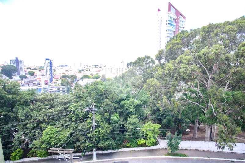 Foto REO1075204