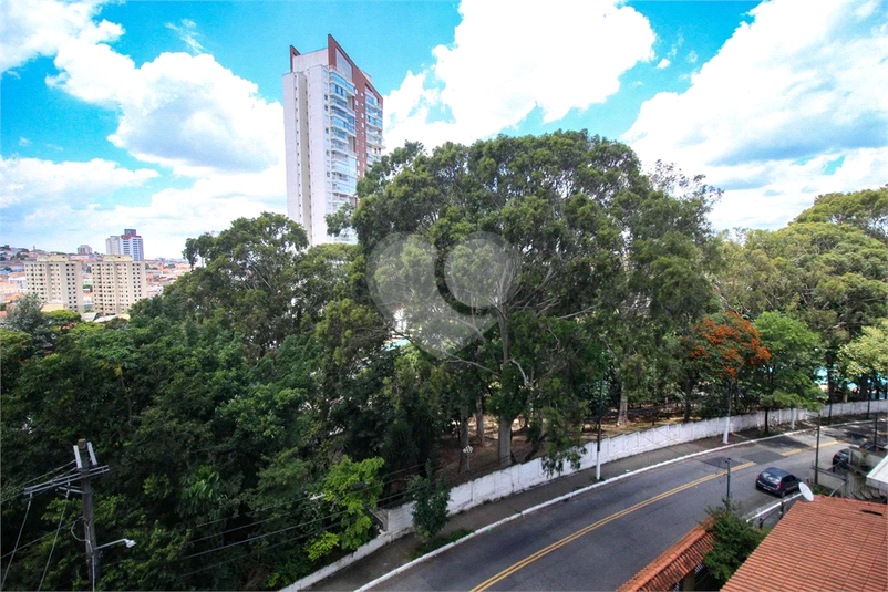 Foto REO1075204