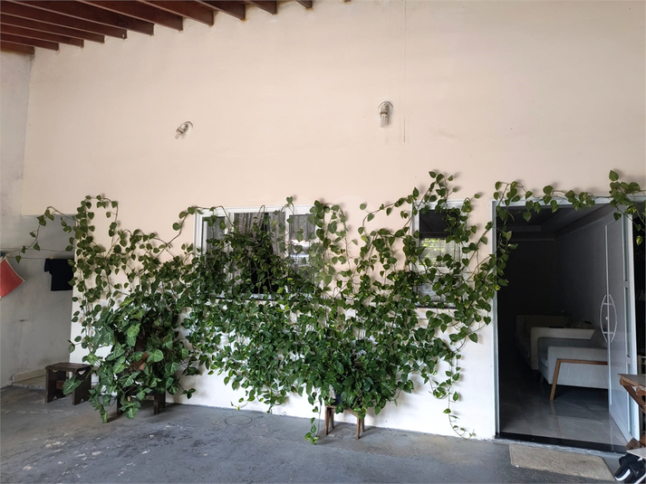 Foto REO1075209