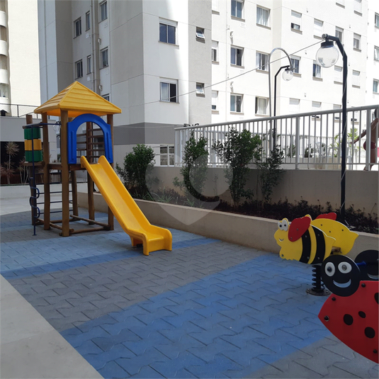 Foto REO1075266