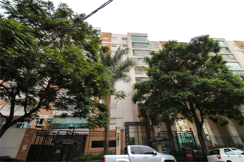Foto REO1075279