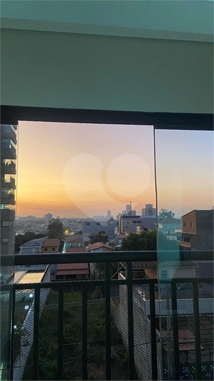 Foto REO1075288
