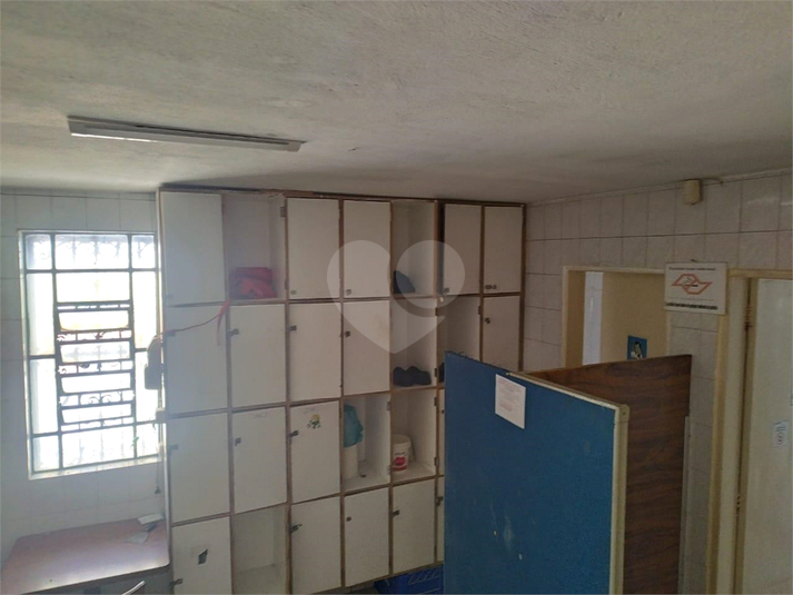 Foto REO1075294