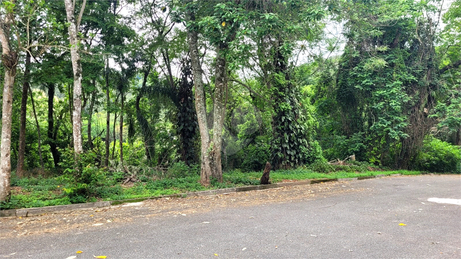 Foto REO1075318
