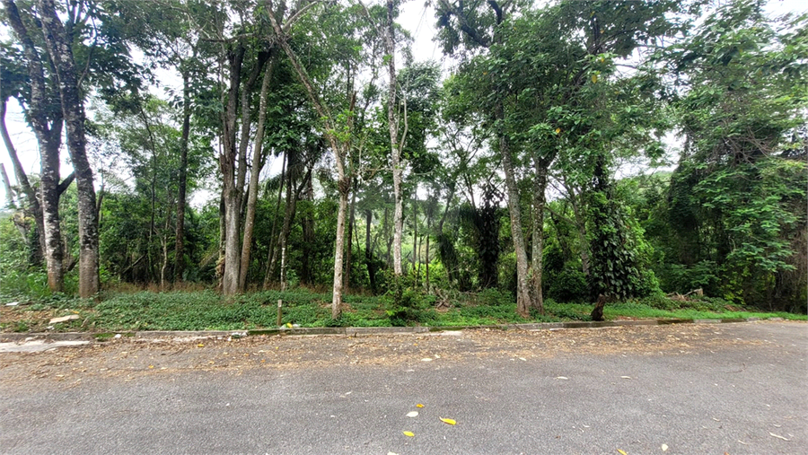 Foto REO1075318