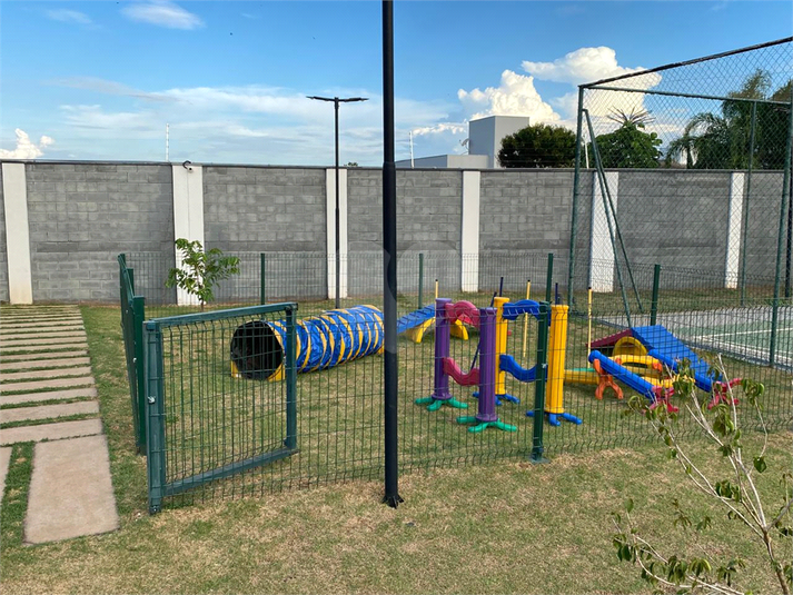Foto REO1075330