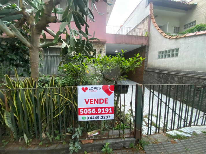 Foto REO1075331