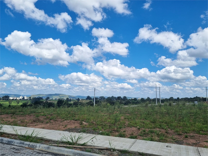Foto REO1075356