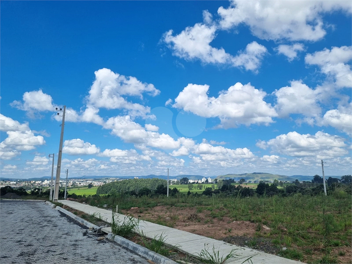 Foto REO1075356