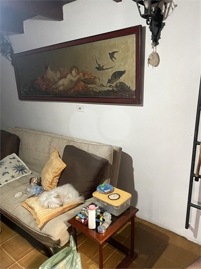 Foto REO1075384