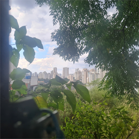 Foto REO1075390