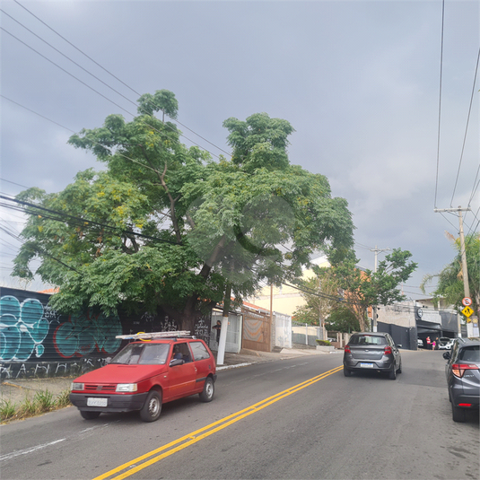 Foto REO1075390