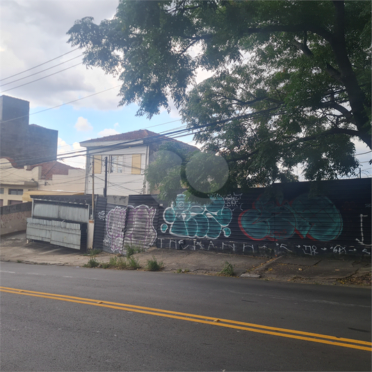 Foto REO1075390