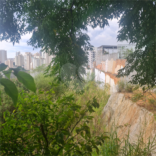 Foto REO1075390